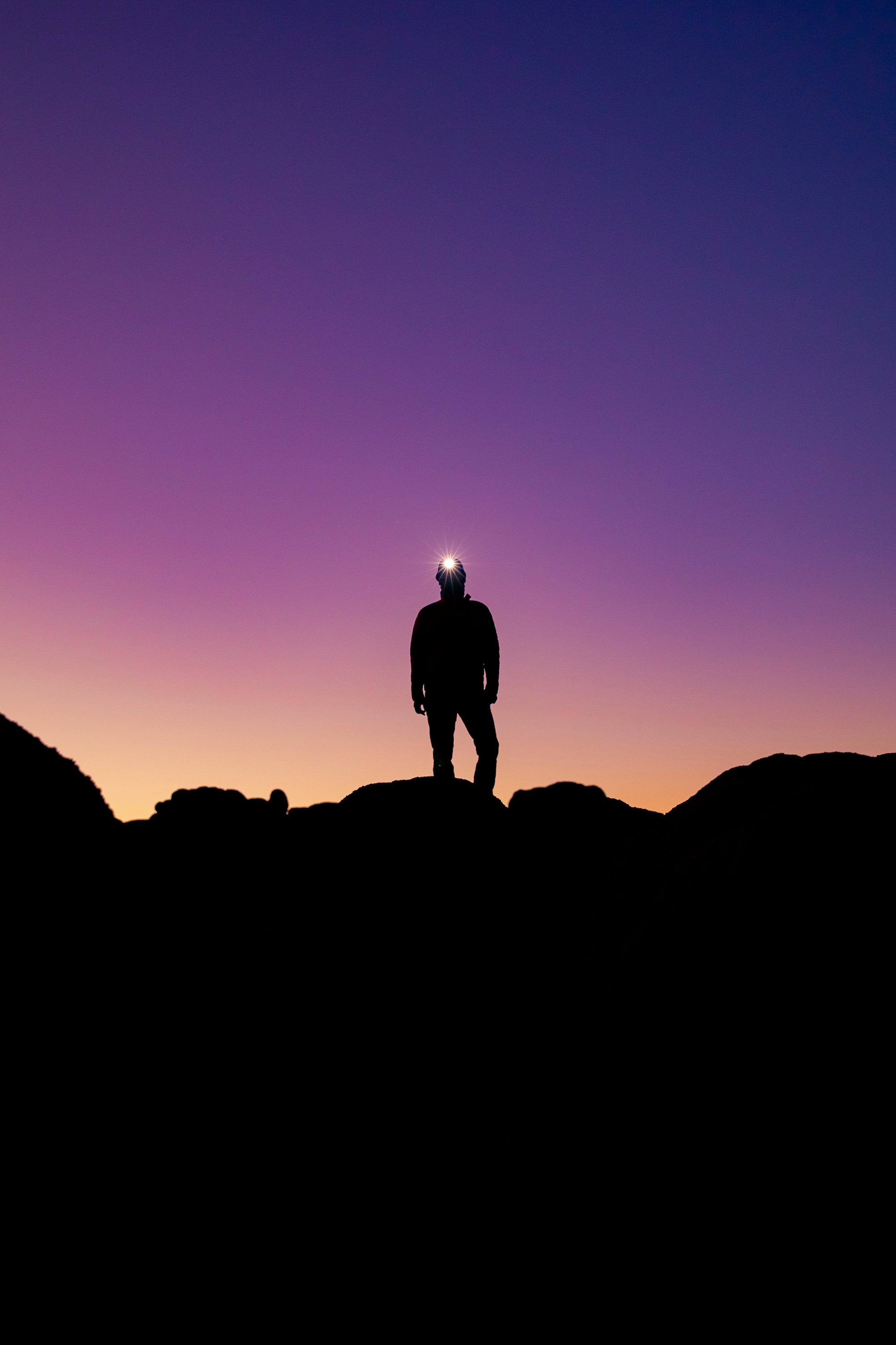 A Night in the Woods: The Essentials