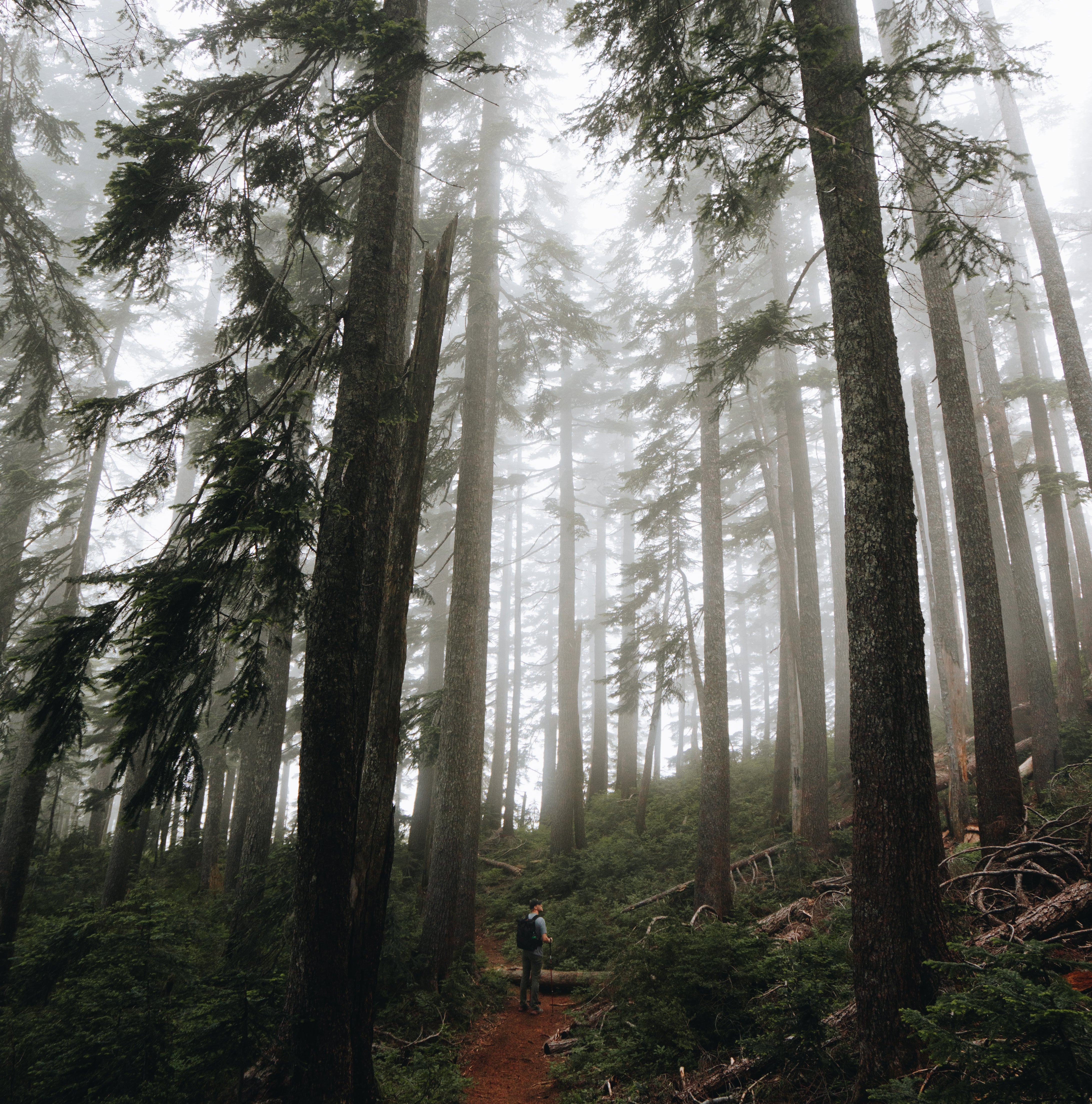 Mindfulness on the Move