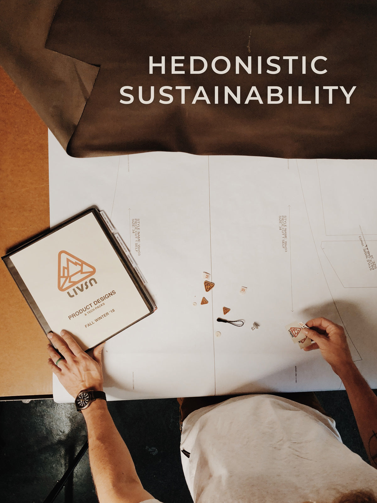 Hedonistic Sustainability