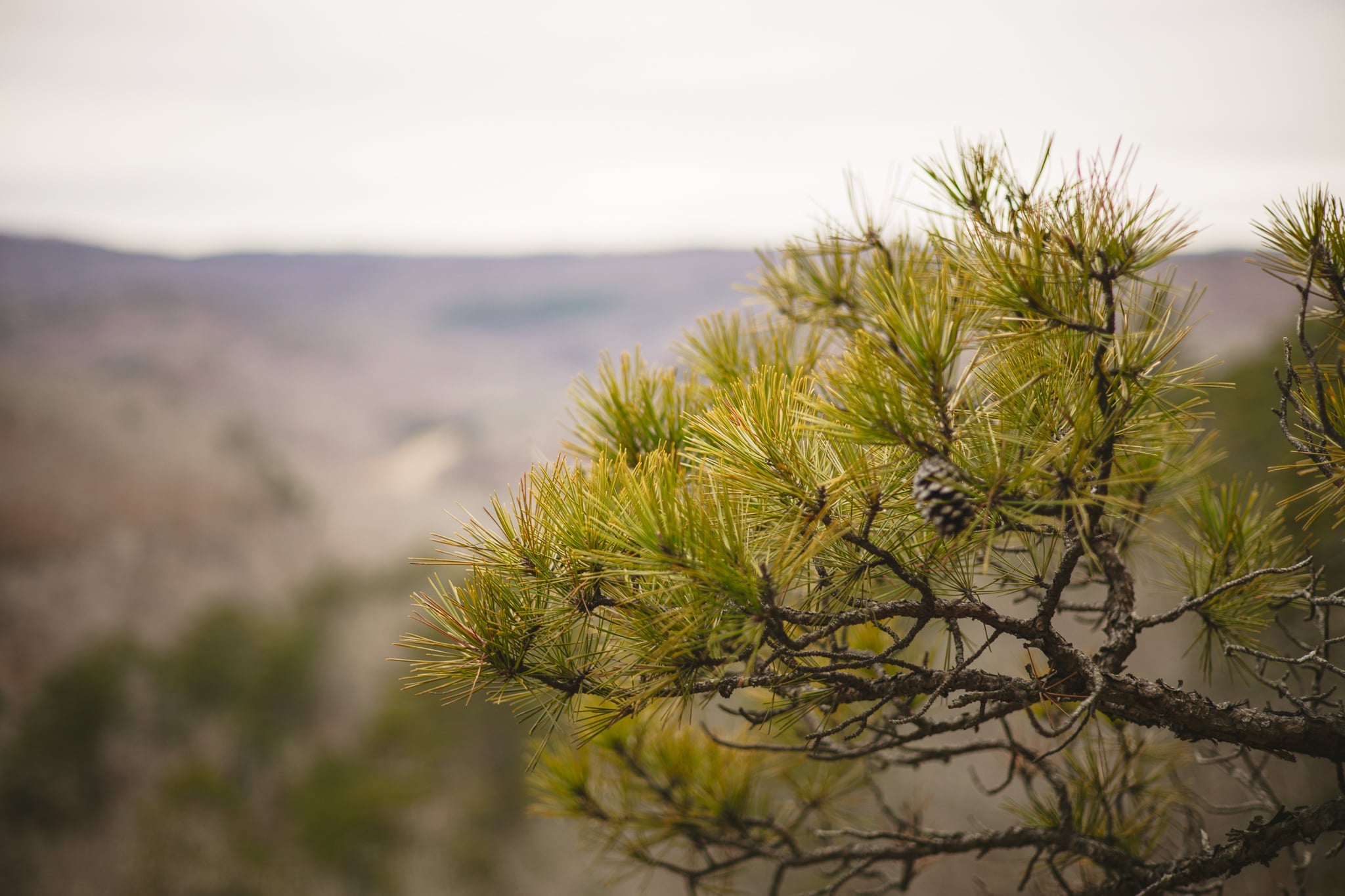 Introducing the LIVSN Supplier Code of Conduct