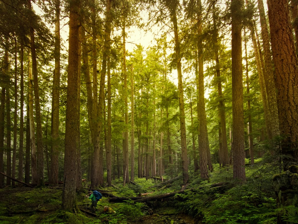 On Being Lost in the Backcountry