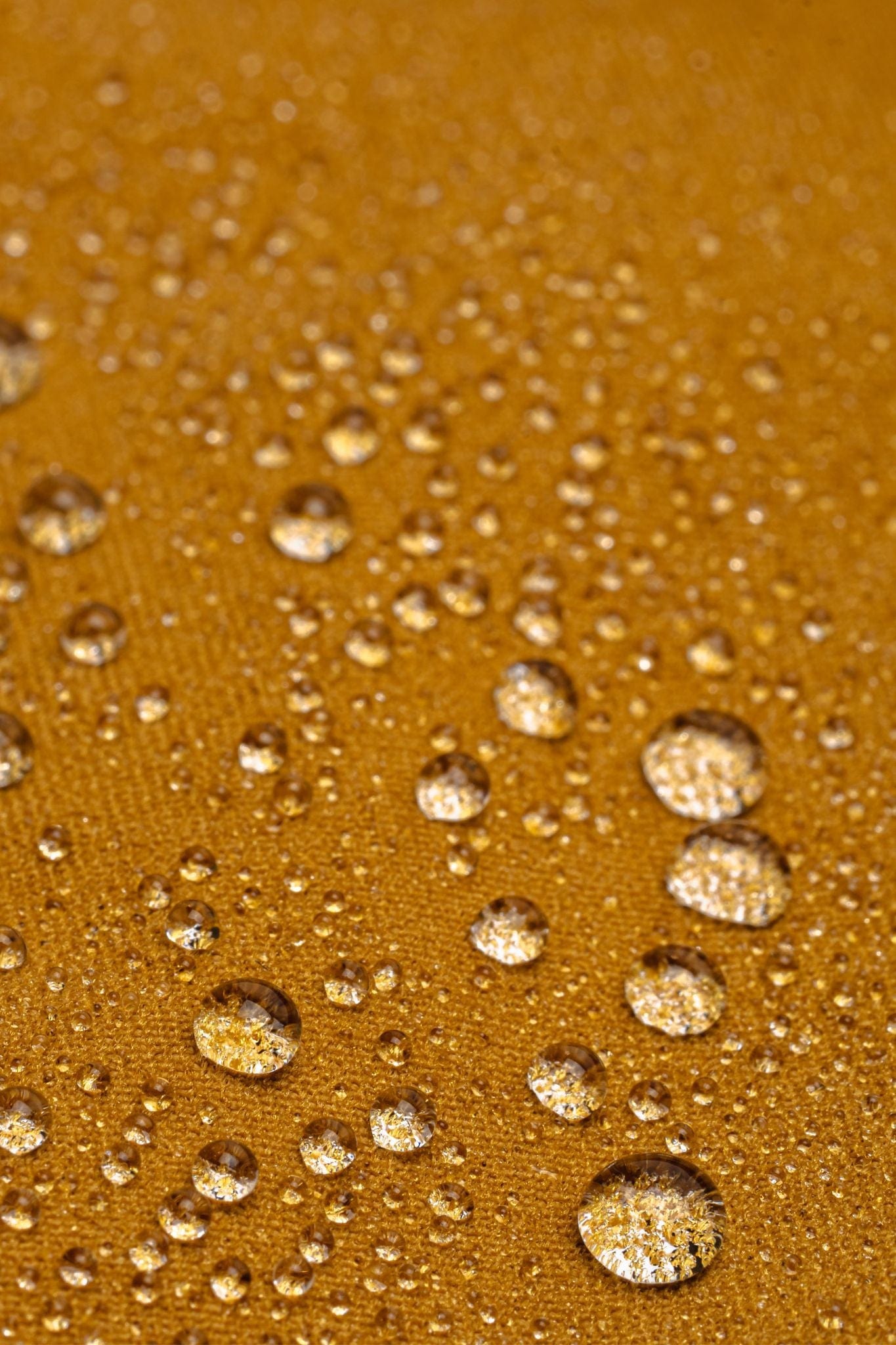 LIVSN Bottoms Men's Ecotrek Overalls Preorder