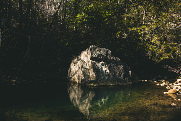Six Summer Swimming Hole Essentials
