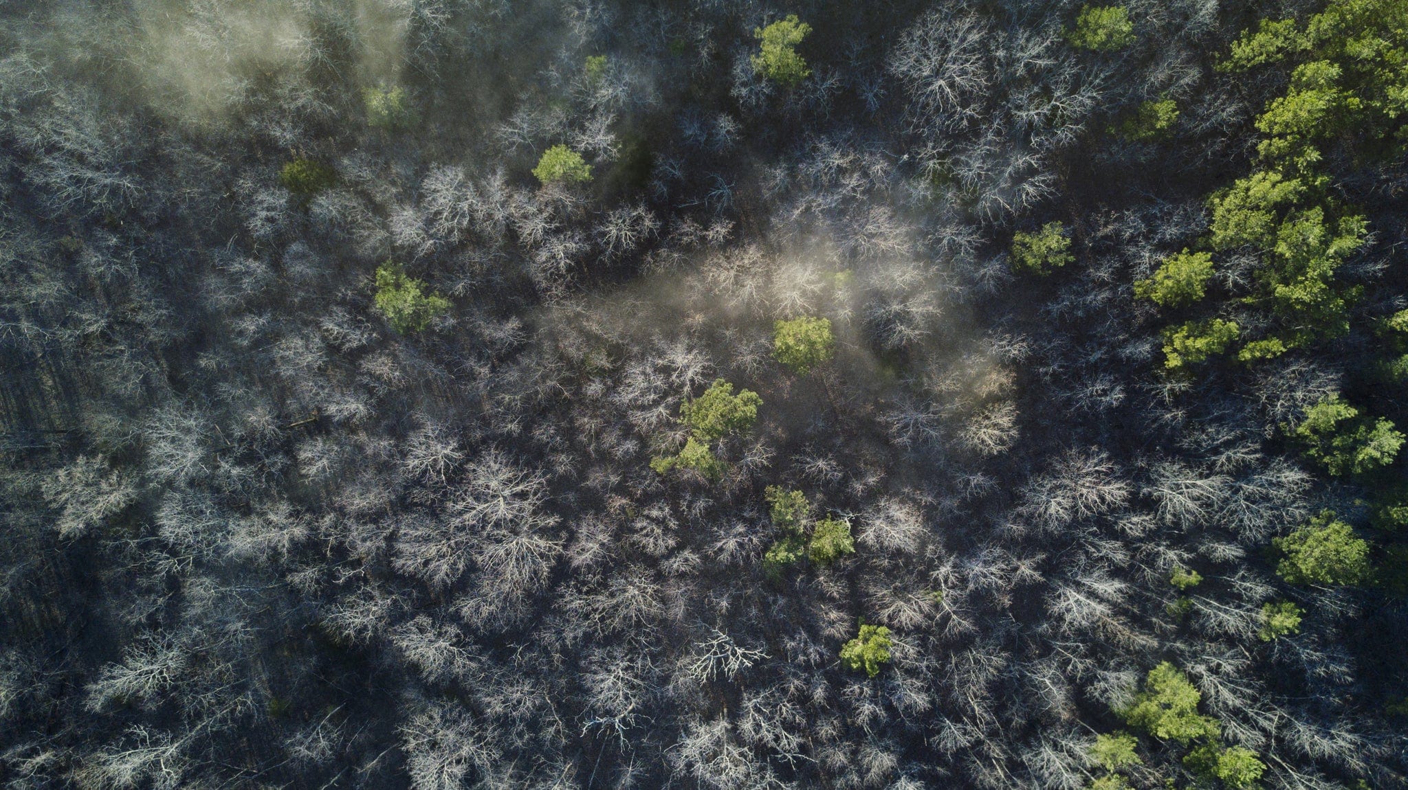 What is Product Impact?