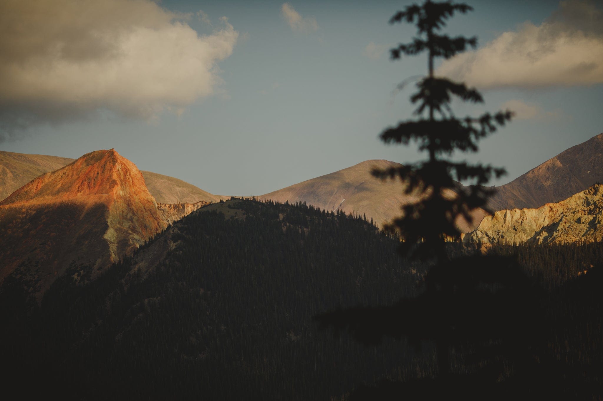 Celebrating Earth Day 2025