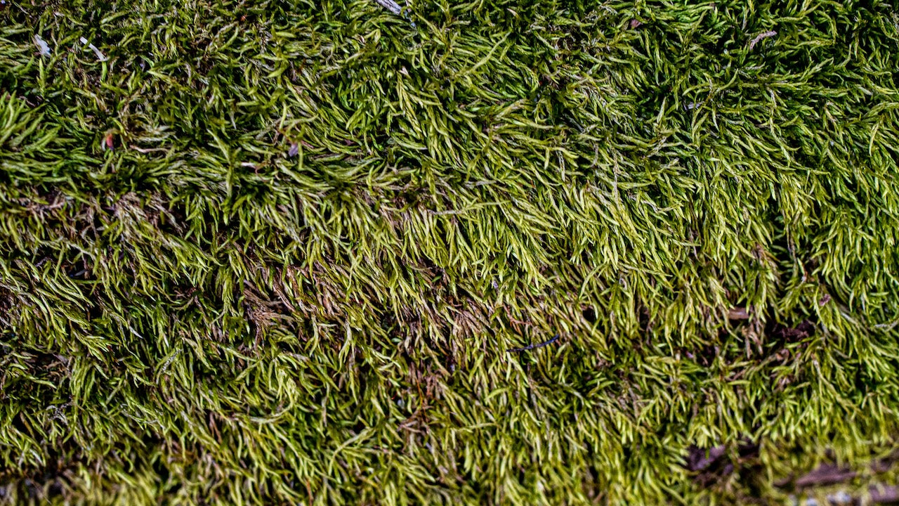 The True Cost Equation