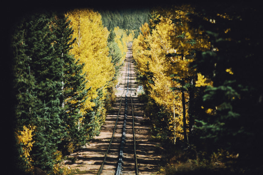 Is your life sustainable?