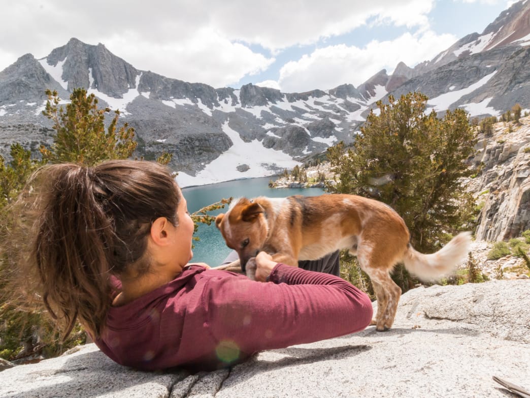 How to Travel 18,000 Miles With Your Dog