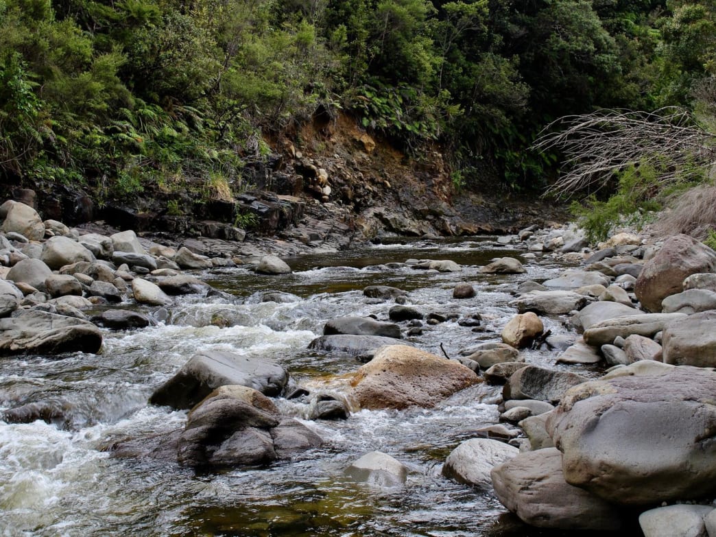 How to find drinkable water in the wild